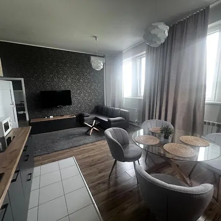 Business Center Apartment Skierniewice Exterior photo