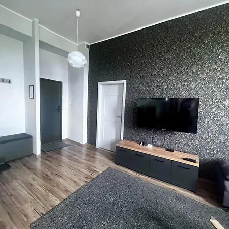 Business Center Apartment Skierniewice Exterior photo
